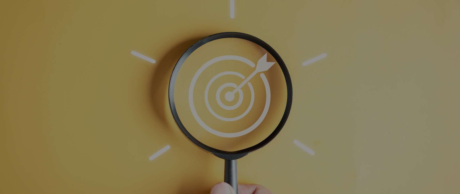 Proactive Consulting - Controllo di Gestione