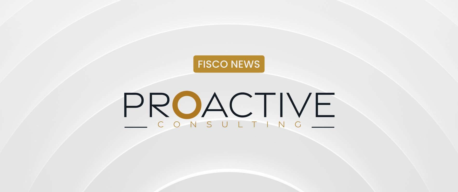 Proactive Consulting - Controllo di Gestione