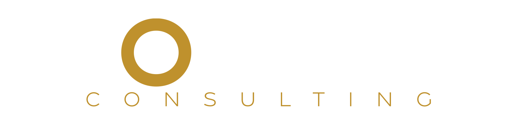Proactive Consulting - Controllo di Gestione Proactive Consulting - Controllo di Gestione